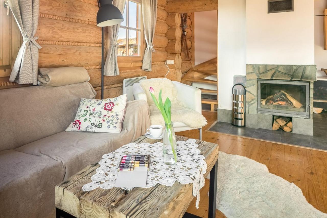Вілла Nydala Rustic Косьцелісько Екстер'єр фото
